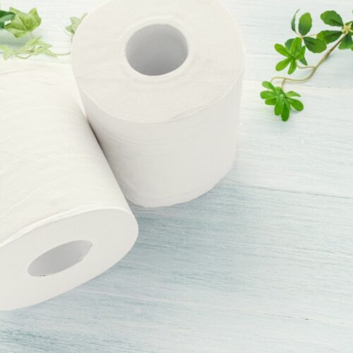 Dobrej jakości papier do toalety – jak wybrać najlepszy?