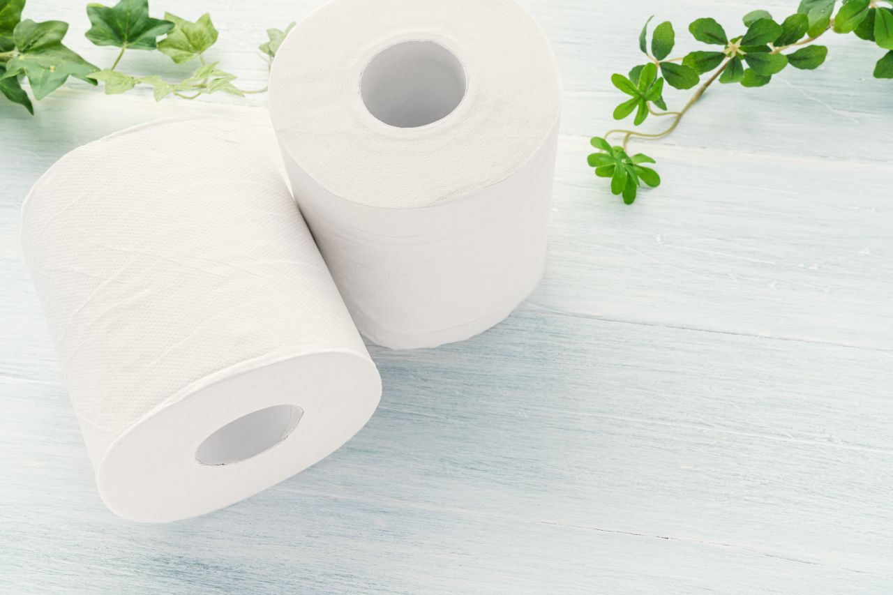 Dobrej jakości papier do toalety – jak wybrać najlepszy?
