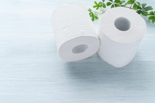 Papier toaletowy – jak wybrać najlepszy do codziennego użytku