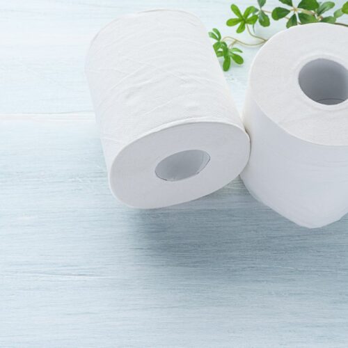 Papier toaletowy – jak wybrać najlepszy do codziennego użytku