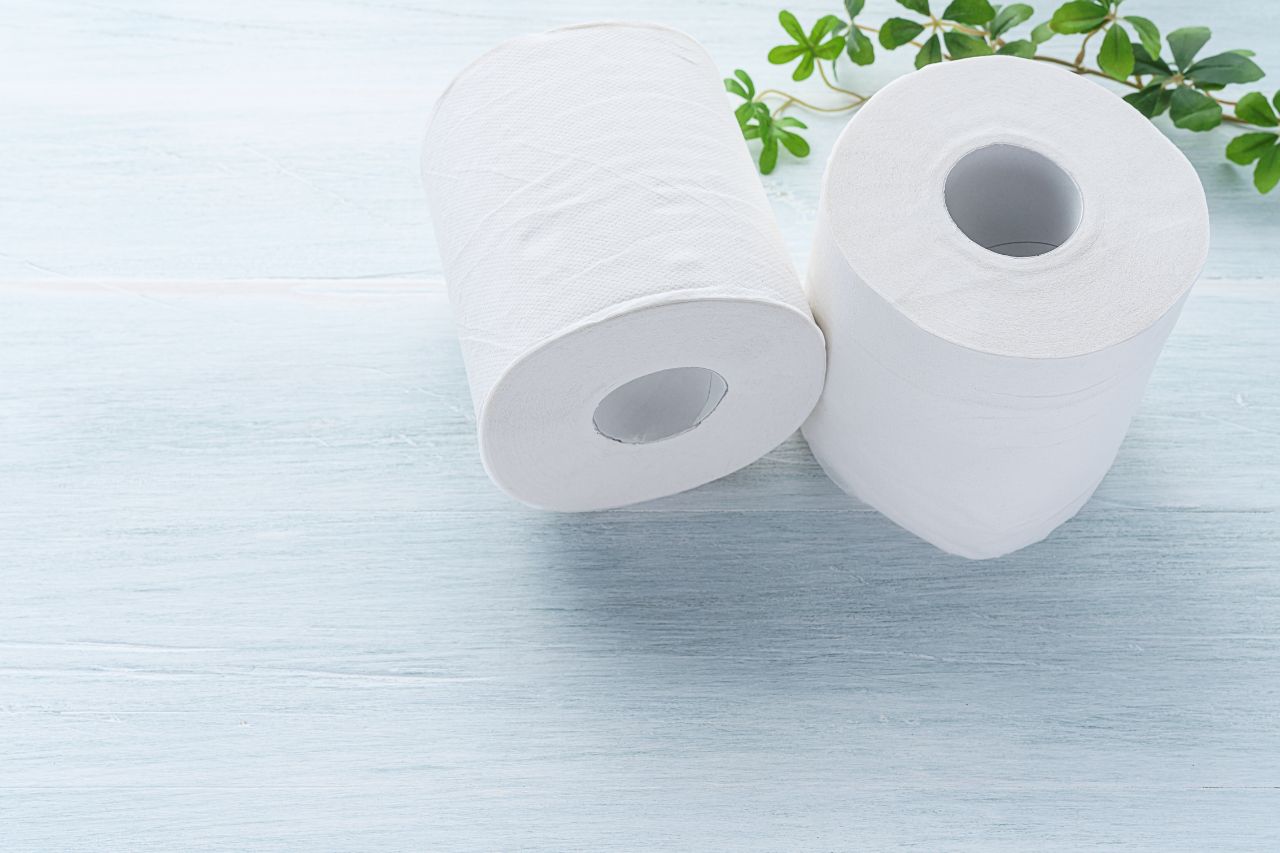 Papier toaletowy – jak wybrać najlepszy do codziennego użytku